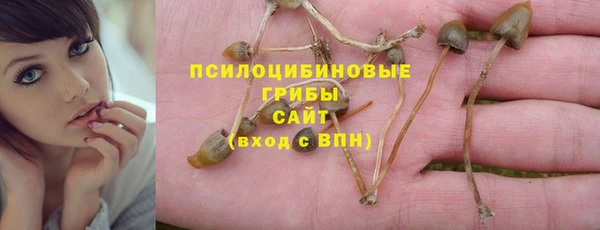 гидра Дмитриев