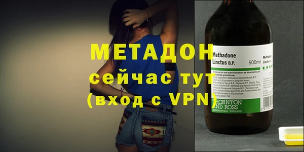 прущие грибы Дмитров