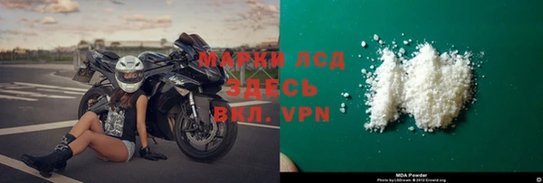 прущие грибы Дмитров