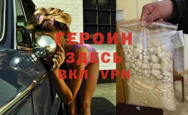 прущие грибы Дмитров