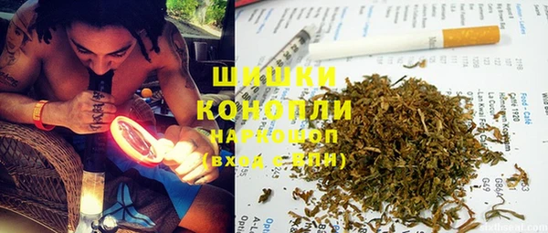 гидра Дмитриев