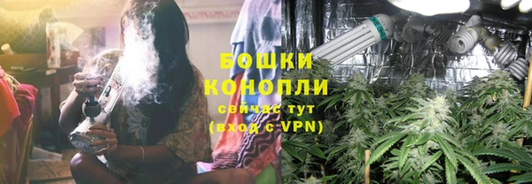 прущие грибы Дмитров
