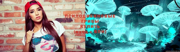 прущие грибы Дмитров