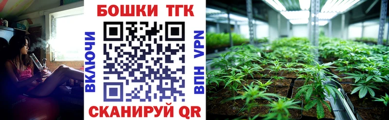 Купить  Кудрово  Марихуана SATIVA & INDICA 